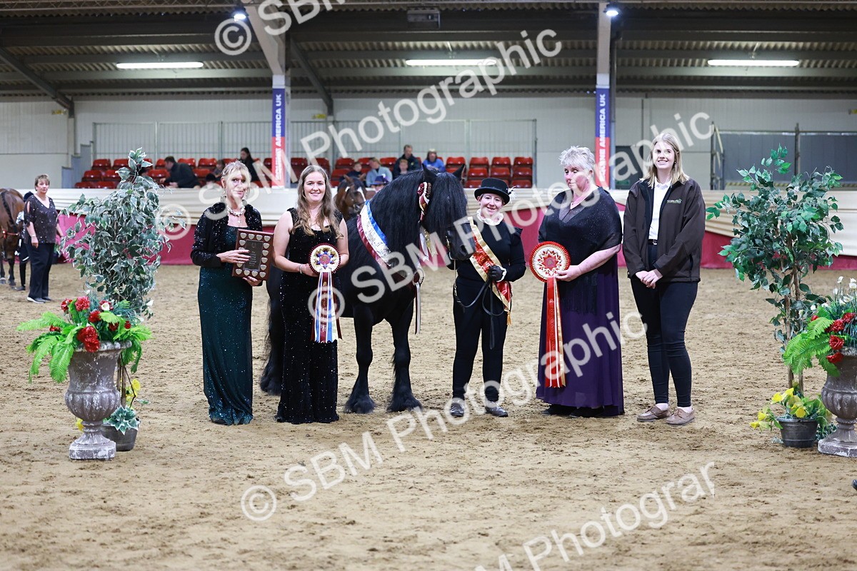 SBM_20421 - Class F - IH Small (148cm & Under)Champ
