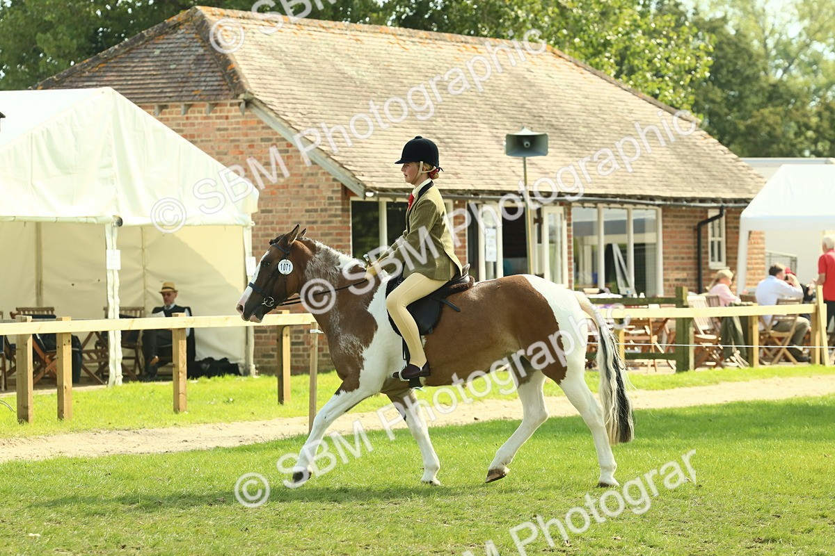 SBM_67648 - S56 - Coloured Pony Ridden