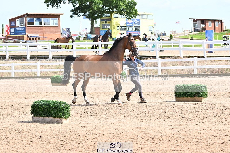 240717A-155740-03216 - Trot Up 3pm to 4pm