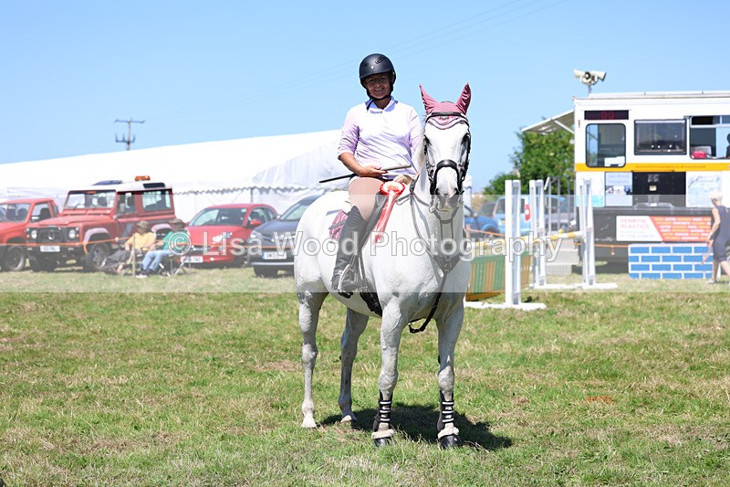 3E7A5697 - Class 9: Senior British Novice/90cm open