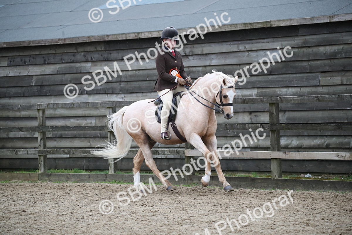 SBM_007330 - Class 10-13 - RIHS Small Large Breeds