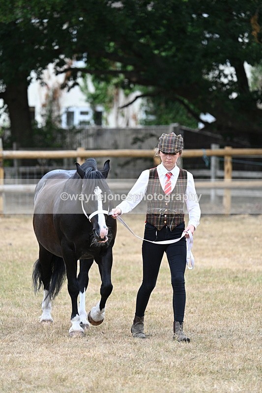 WJ7_8074 - Class 4 Prettiest Mare up to 14.2hh