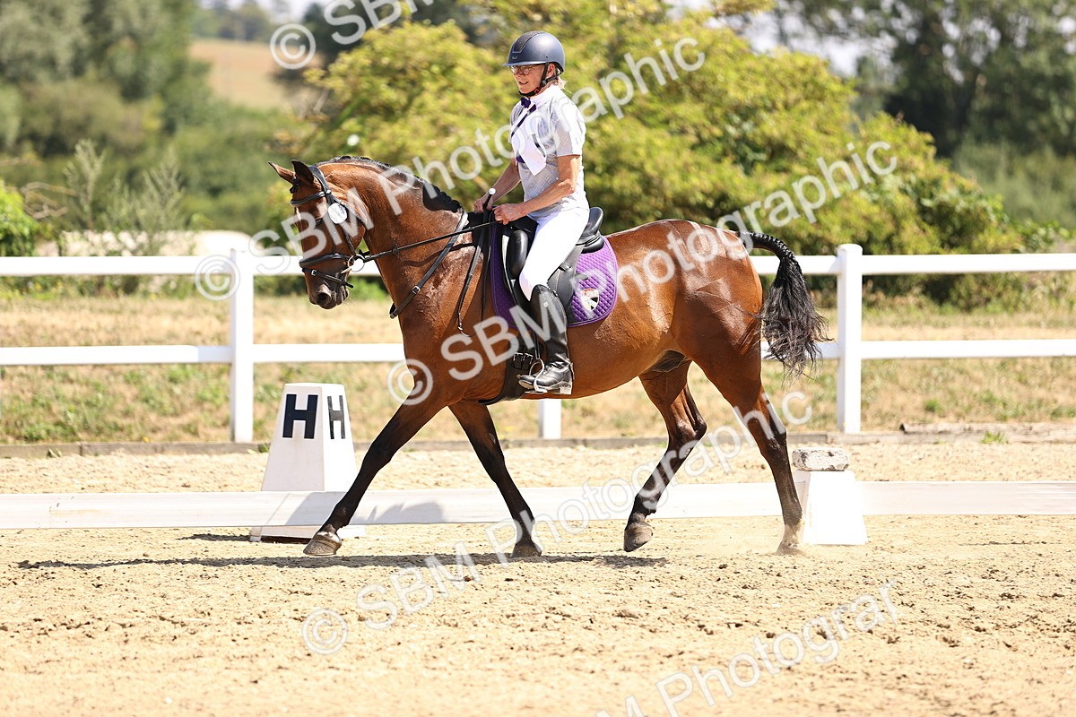 SBM_003728 - Intro 2