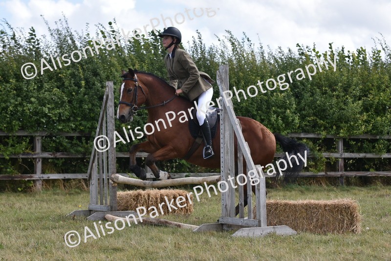 20250831-4020 - Class 12 - Working Hunter Pony 14.2hh and Under