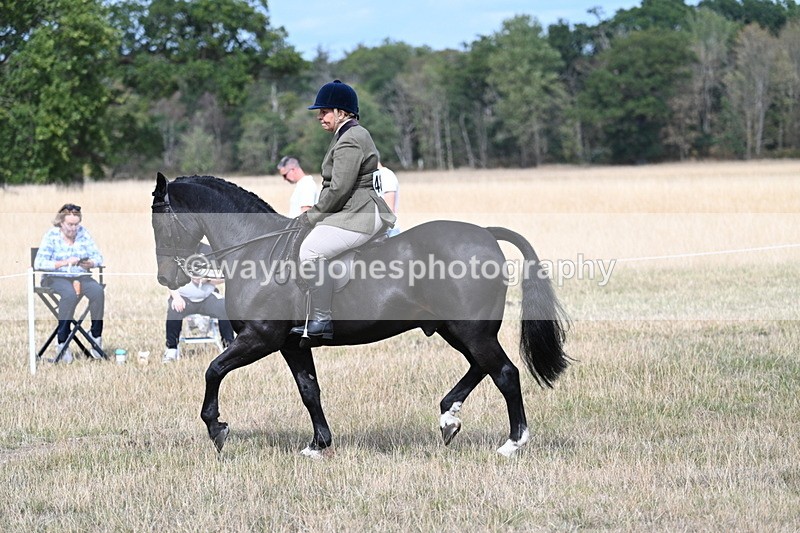 WJ7_5865 - Class 13 Ridden Veterans