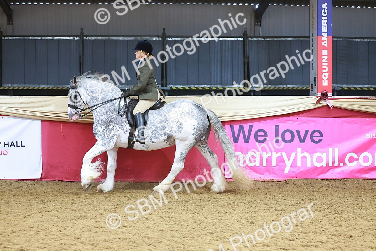 SBM_12484 - Class 103 - HOYS Veteran Qualifier - Ridden Pre Vet
