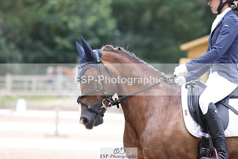 230812-120225-03914 - Cls 5 Novice Bronze 11.15 to 12.50 break