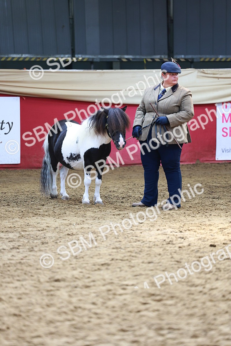 SBM_18641 - Class 903 - Sup Final - IH Pre Vet