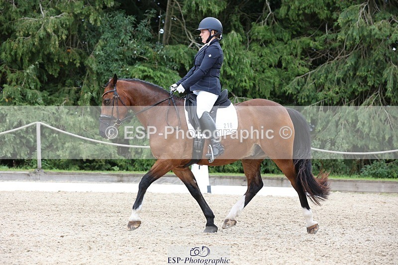 230812-143001-04440 - Cls 5 Novice Bronze 13.40 to 14.45 break