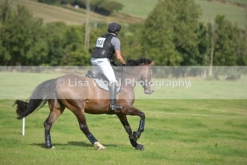 RAY_8869 - Class 2: Trekenning Open: Wall