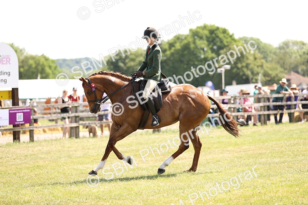 SBM_14936 - Class 78 - LIHS BSHA Open Racehorse & Show Horse
