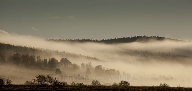 Cairngorms national park - SCOTLAND LANDSCAPE PHOTOGRAPHY