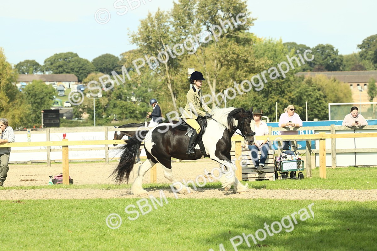 SBM_67606 - S56 - Coloured Pony Ridden