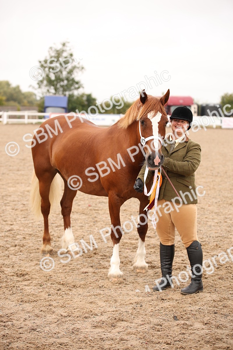 SBM_21530 - Class 706 - IH  Veteran