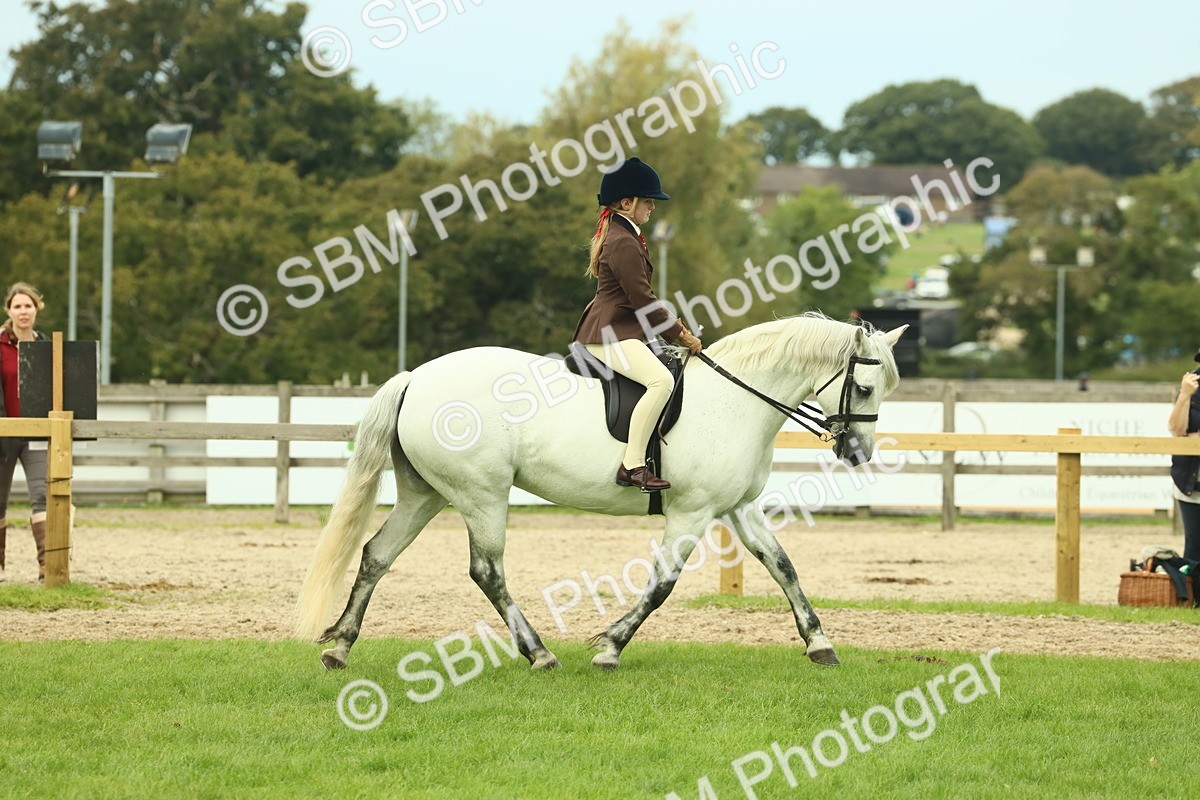 SBM_72016 - S60 - Mountain & Moorland Ridden Large Breeds