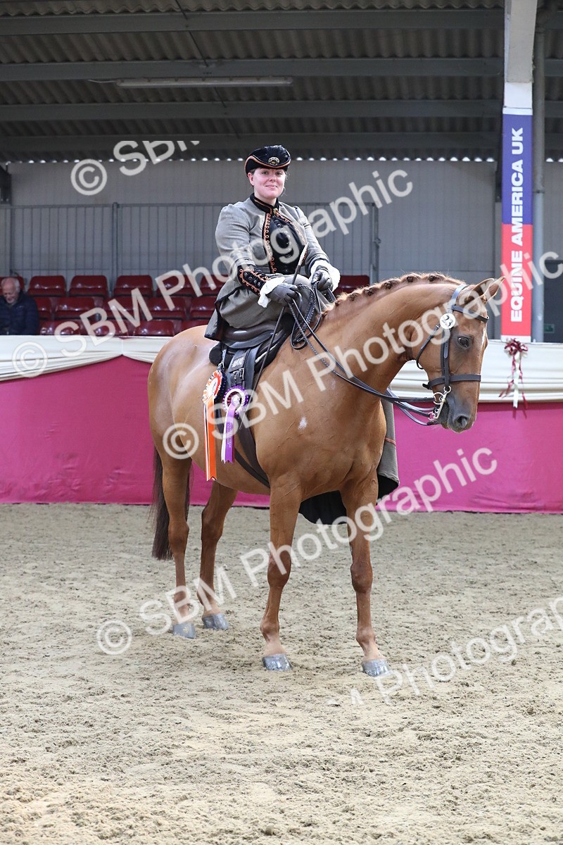 SBM_11631 - Class 105 Ridden Costume- Side Saddle