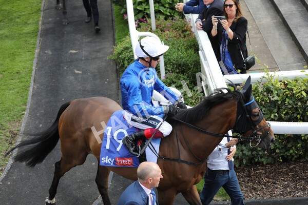 yr20082022r4-124 - Race 4 3.35pm Sky Bet Ebor