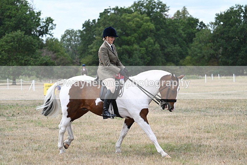 WJ7_5660 - Class 12 Ridden Cob