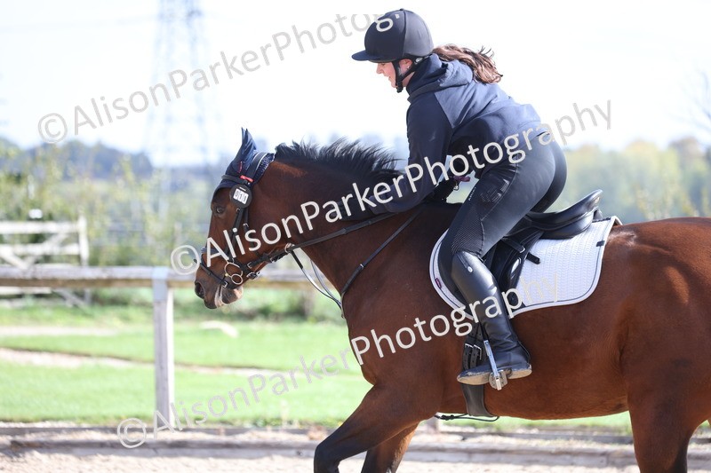 20251005-0384 - Class 3 - 60cm