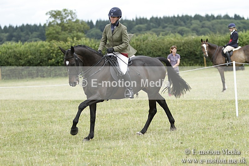 BVR160717-2226 - Ring 3 BVRC Show 16/07/17