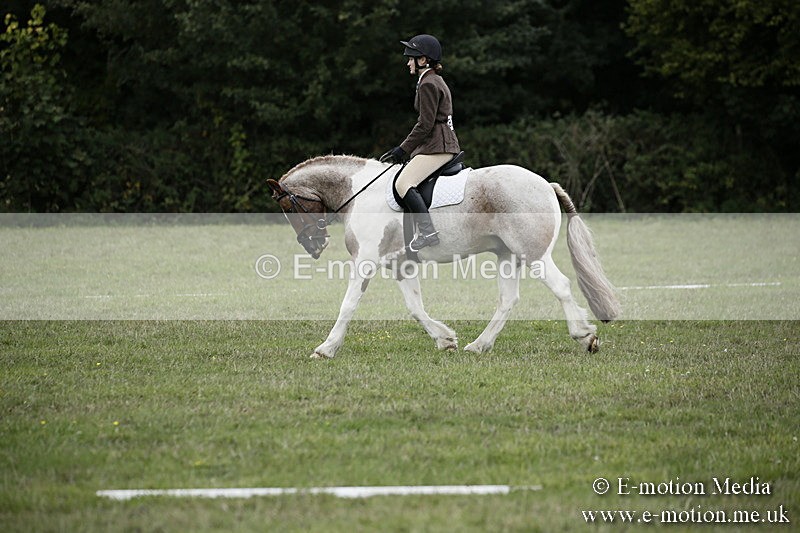 BVR080918 14 - BVRC Novice Dressage & CR 08/09/18
