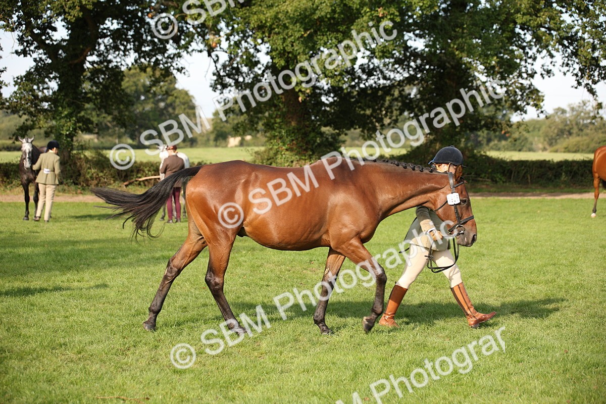 SBM_60103 - S53 - Hunter In Hand