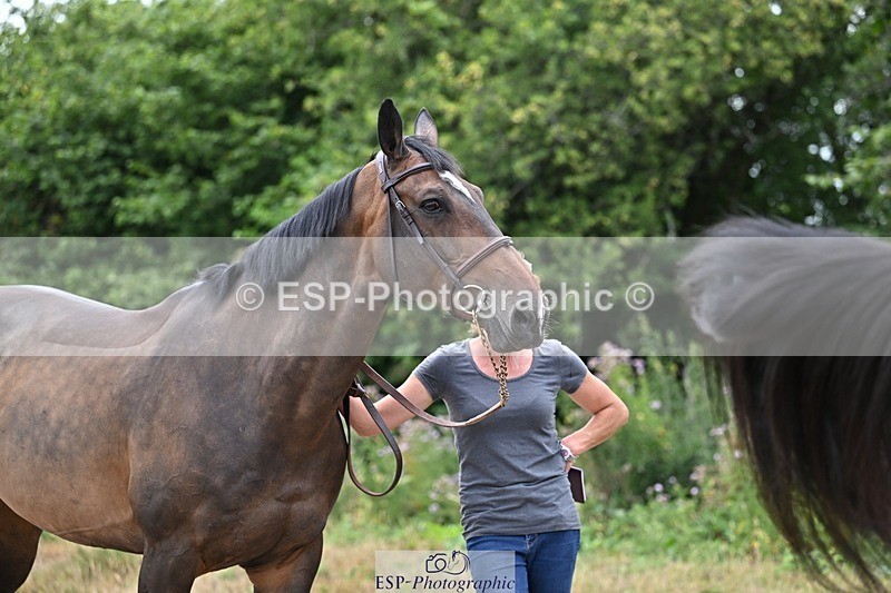 250716-135559-00706 - Trot Up 1.30 to 2.30