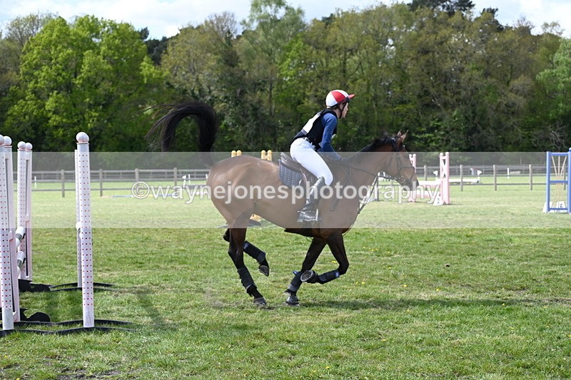 DSC_0187 - Time 13:48 to 14:00
