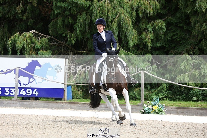 230812-140436-04376 - Cls 5 Novice Bronze 13.40 to 14.45 break