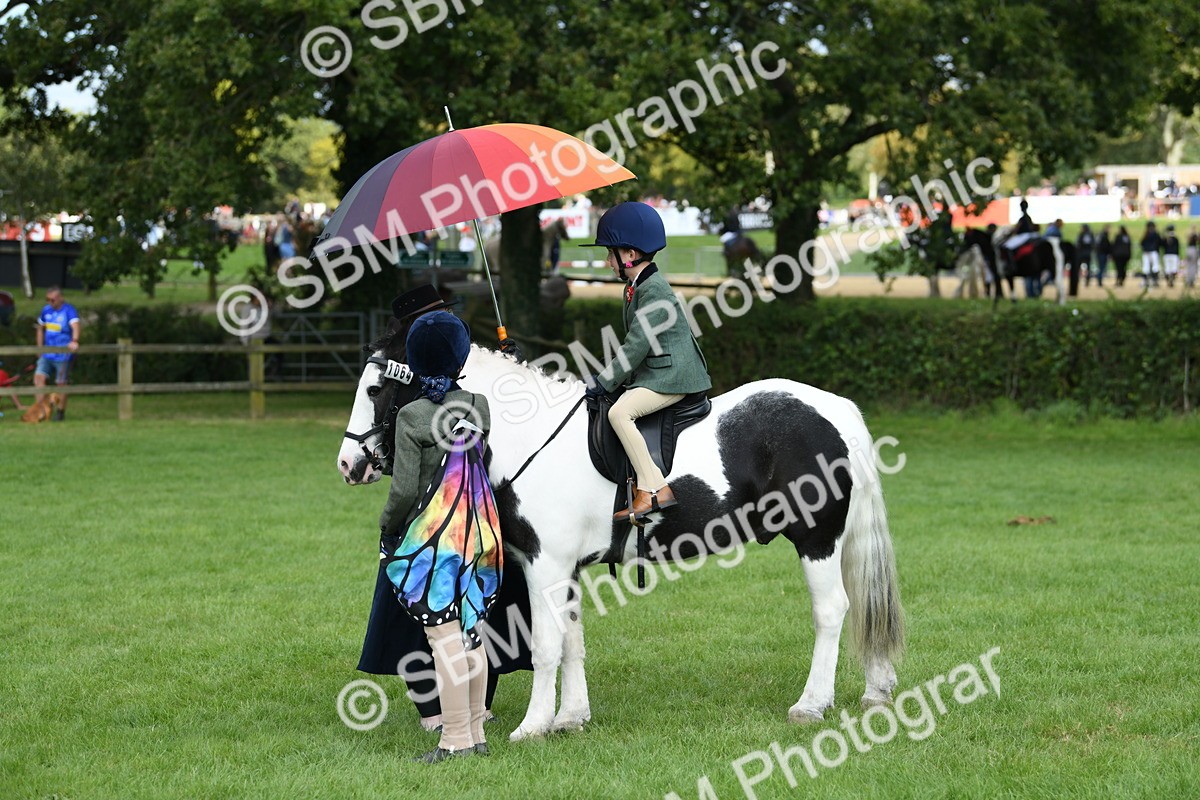SBM_46998 - S12 - Family Horse & Pony
