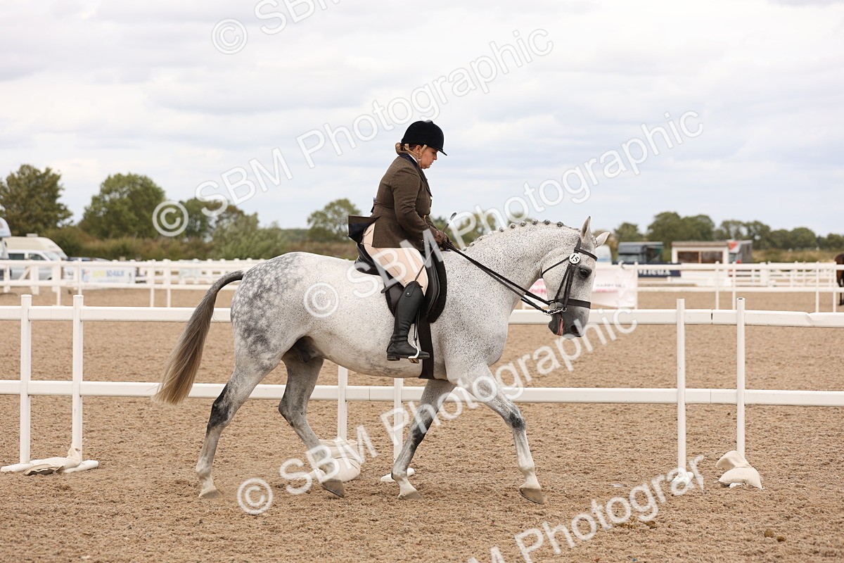 SBM_17189 - Class 213 - Ridden Hunter - Large