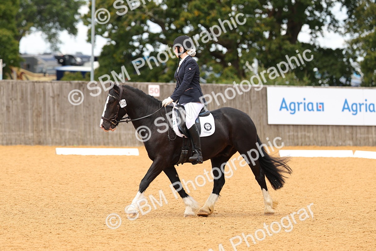 SBM_44007 - D22 - Junior Championship - Intro B