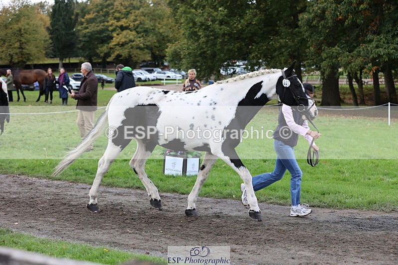 251026A-121634-25998 - H-607-Hannah.Bourgoine
