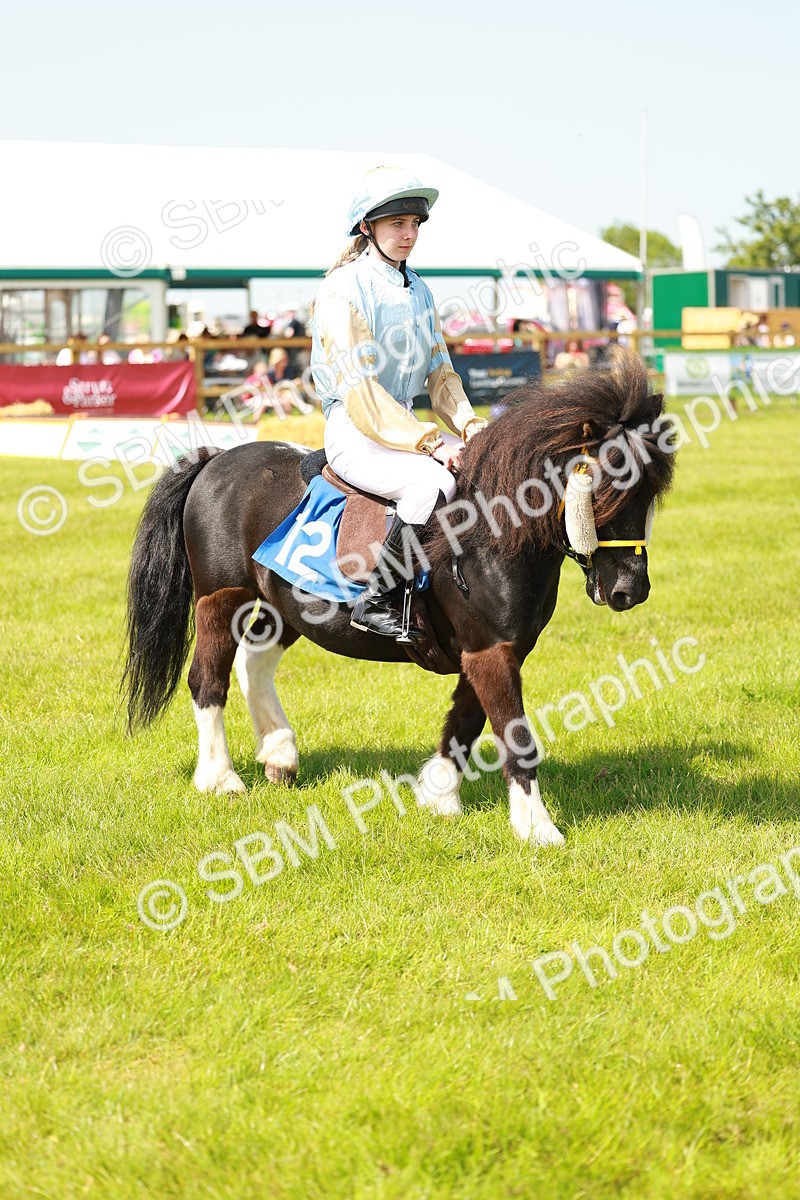 SBM_04535 - Shetland Grand National
