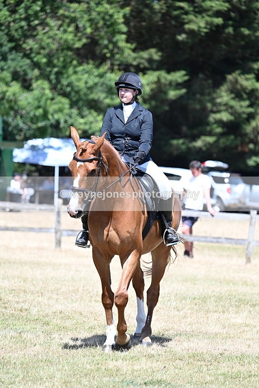 WJ7_2891 - Class 7 Riding Club Show Horse