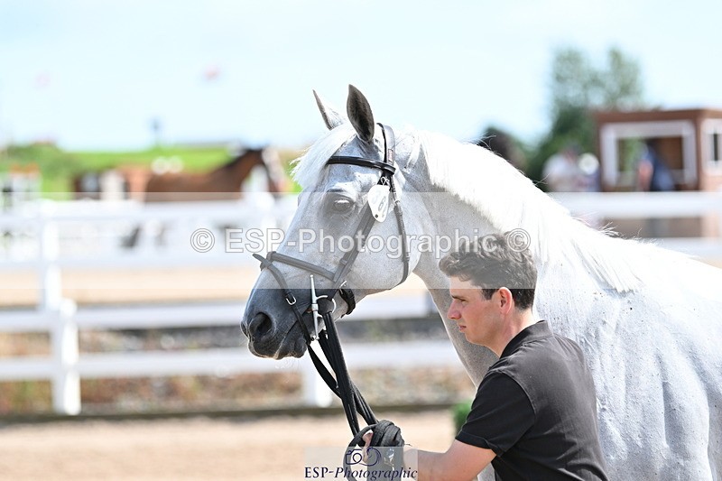 240717A-154006-02968 - Trot Up 3pm to 4pm