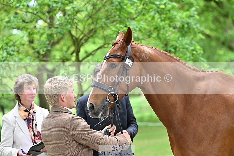 250521A-144848-00260 - A-062-Finn.Healy-GREANNANSTOWN.MONBEG.JOE