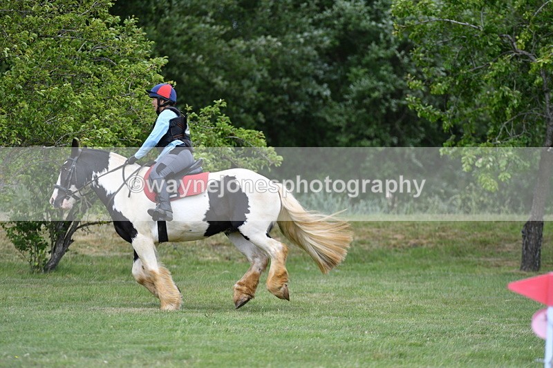 WJ5_3337 - Class 4 60cm