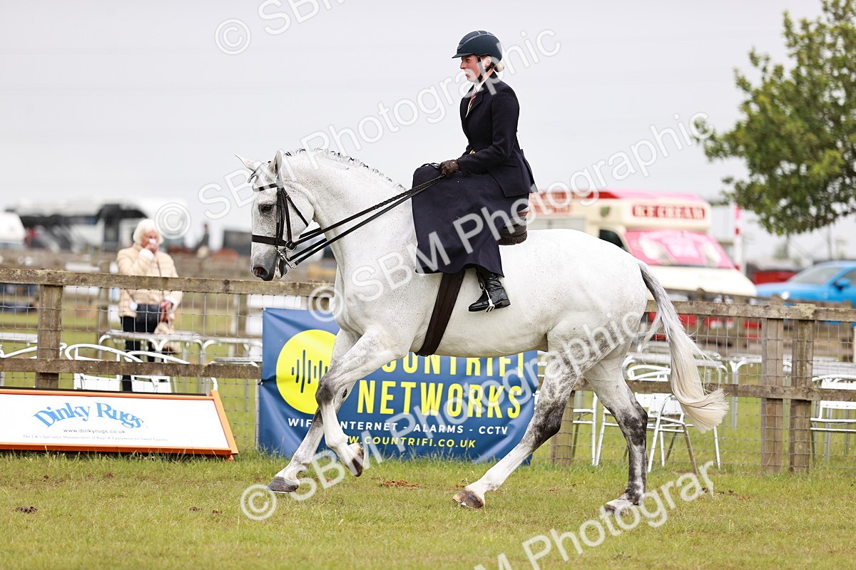 SBM_10980 - Class 81-84 - RIHS Ridden hunters Inc Ladies Hunter