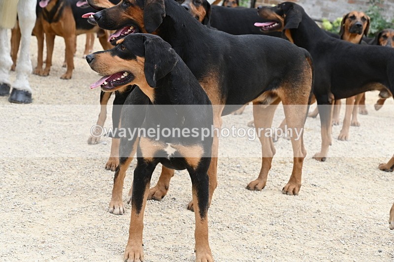 WJ6_3560 - Berks & Bucks - The Old farmhouse - Hound Exercise 20-08-25
