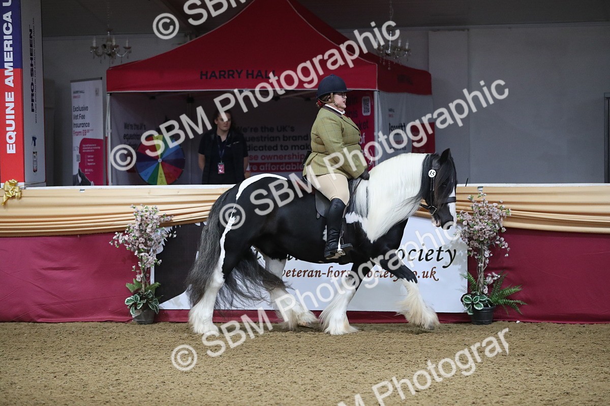 SBM_10346 - Class 102 Equitation (best rider) Adult