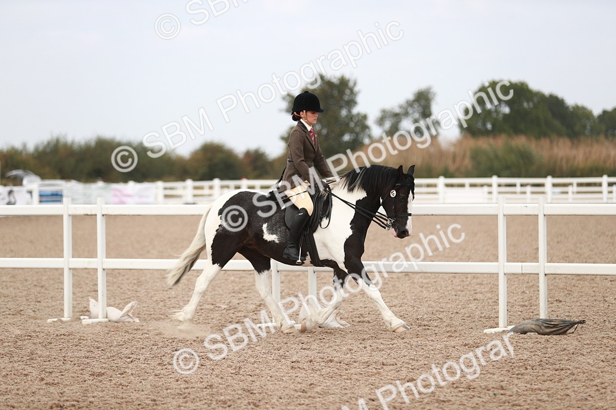 SBM_16624 - Class 214 Ridden Cob