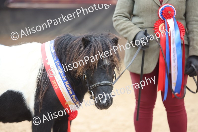 20251109-0457 - Championship