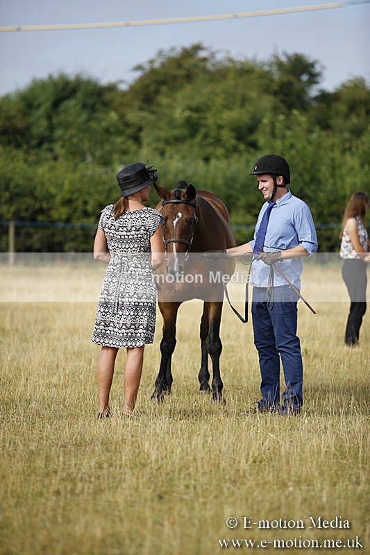 _C7A9131 - BVRC Sow 2018 Ring 2