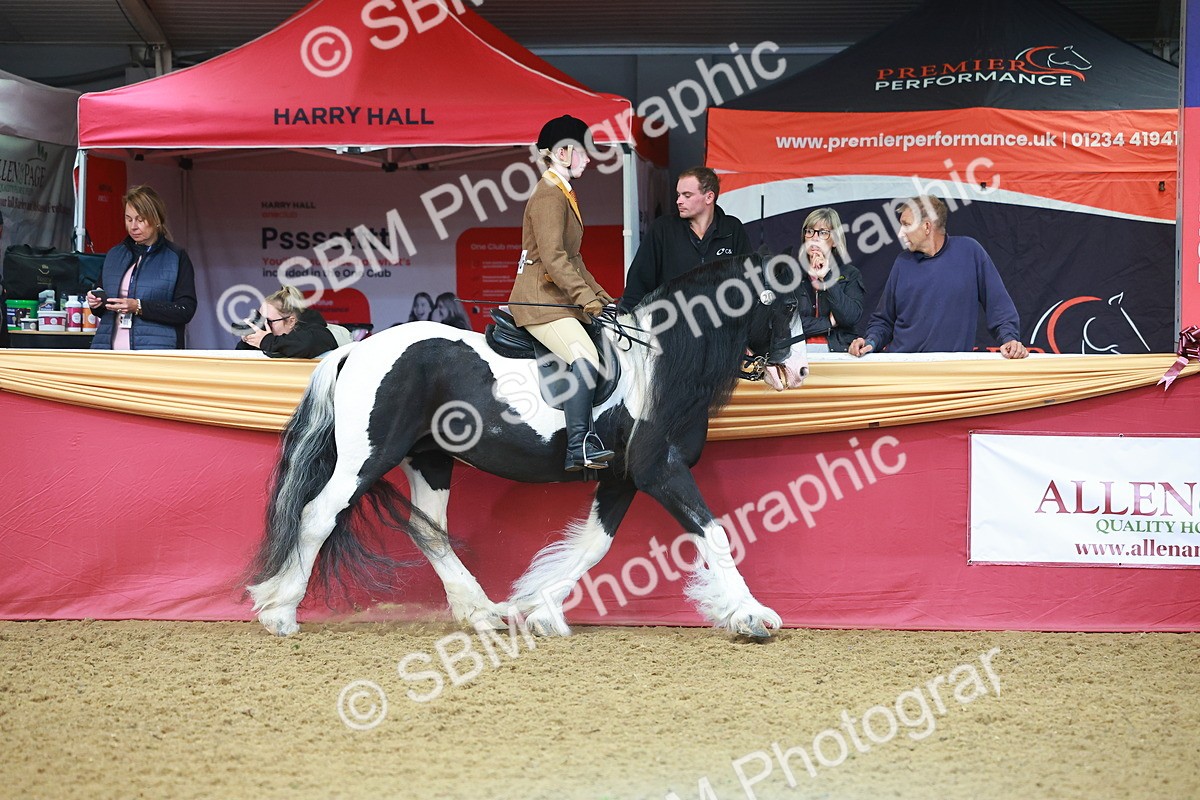 SBM_09600 - Class 102 - HOYS Veteran Qualifier - Ridden Veteran