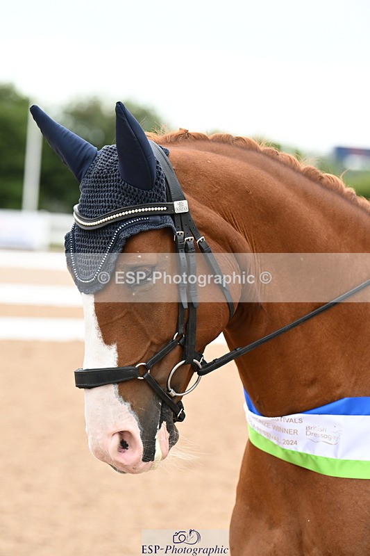 240815A-153122-02346 - Cls 9-P Freestyle Adv Medium Bronze