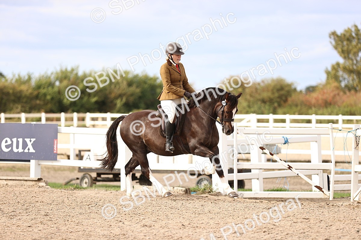 SBM_18180 - Class 423 - Equitation (best rider) Adult