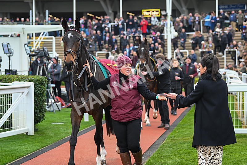 161124-Race 2-BTO-The Newest One-9469 - Race 2