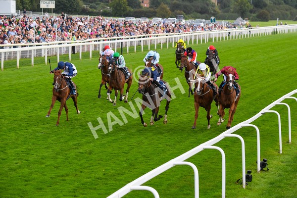 240823-Race 5-Sea Theme-0677 - Race 5 4.10pm British EBF & Sir Henry Cecil Galtres Stakes