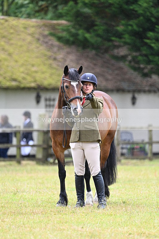 WJ7_6290 - Class 4a Prettiest Mare over 14hh